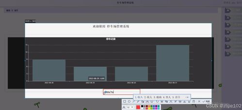 基于Django與Vue的停車場管理系統(tǒng) 計(jì)算機(jī)畢業(yè)設(shè)計(jì)代理代辦服務(wù)