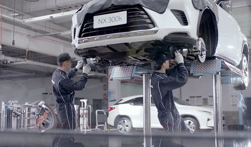 不想賺我們的錢？這個品牌火到加價，但為何不國產(chǎn)